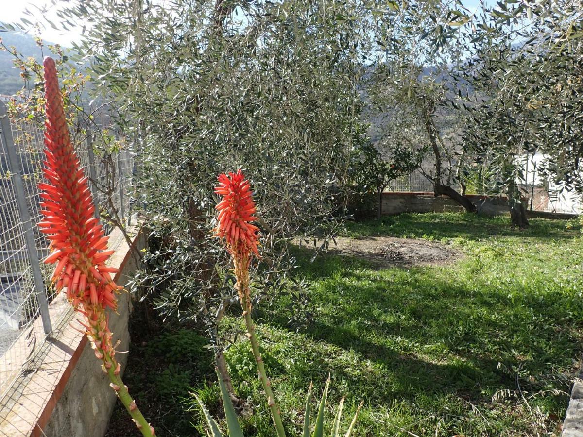 Casetta Tra Gli Ulivi Vicina Al Mare Giustenice Exterior photo